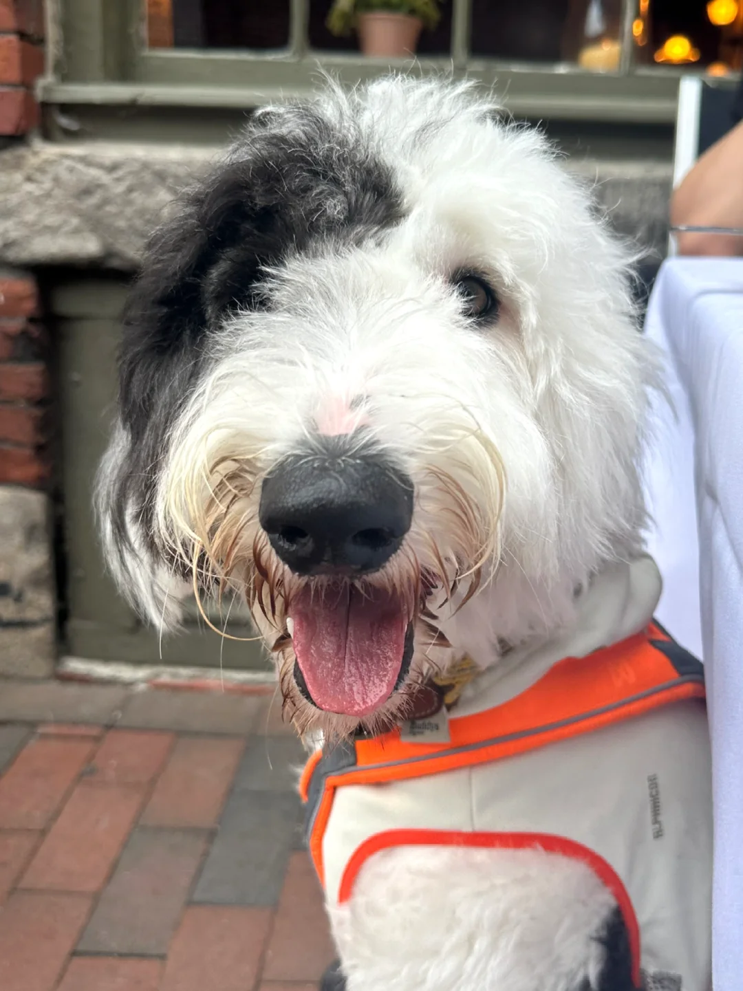 xs闲的时候就觉得还挺喜欢biglaw的哈