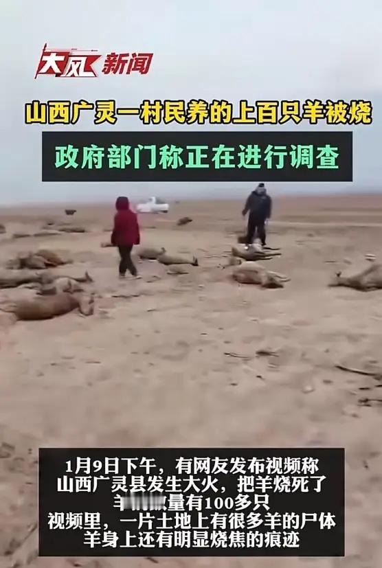 “悲剧还是发生了！”1月9日，山西大同，一残疾男子放羊时，地里突然着火了，当时风
