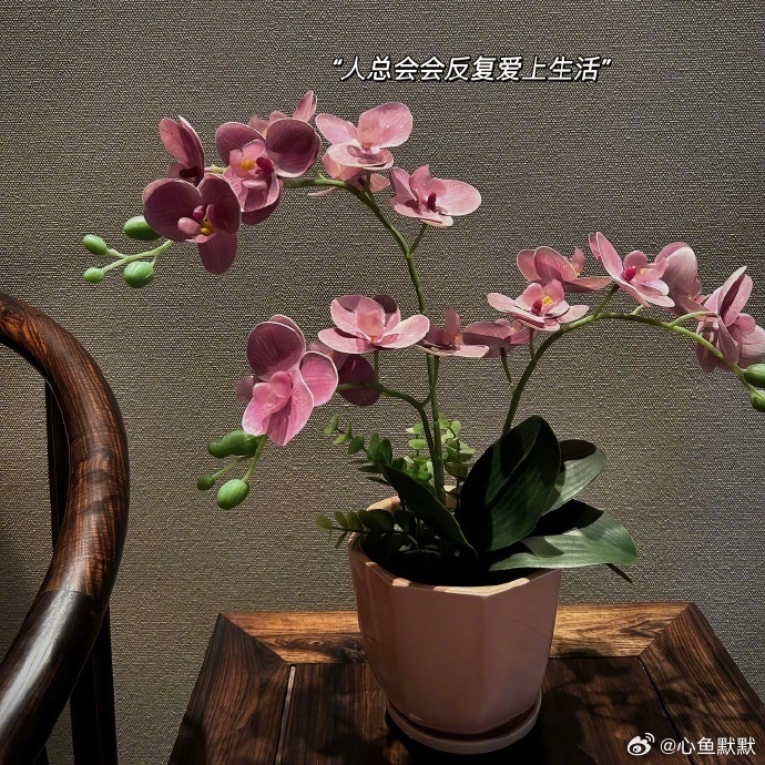 没有在享福 也没有在混日子   只是辛苦的时候 没人看见罢了 ！ ​​​