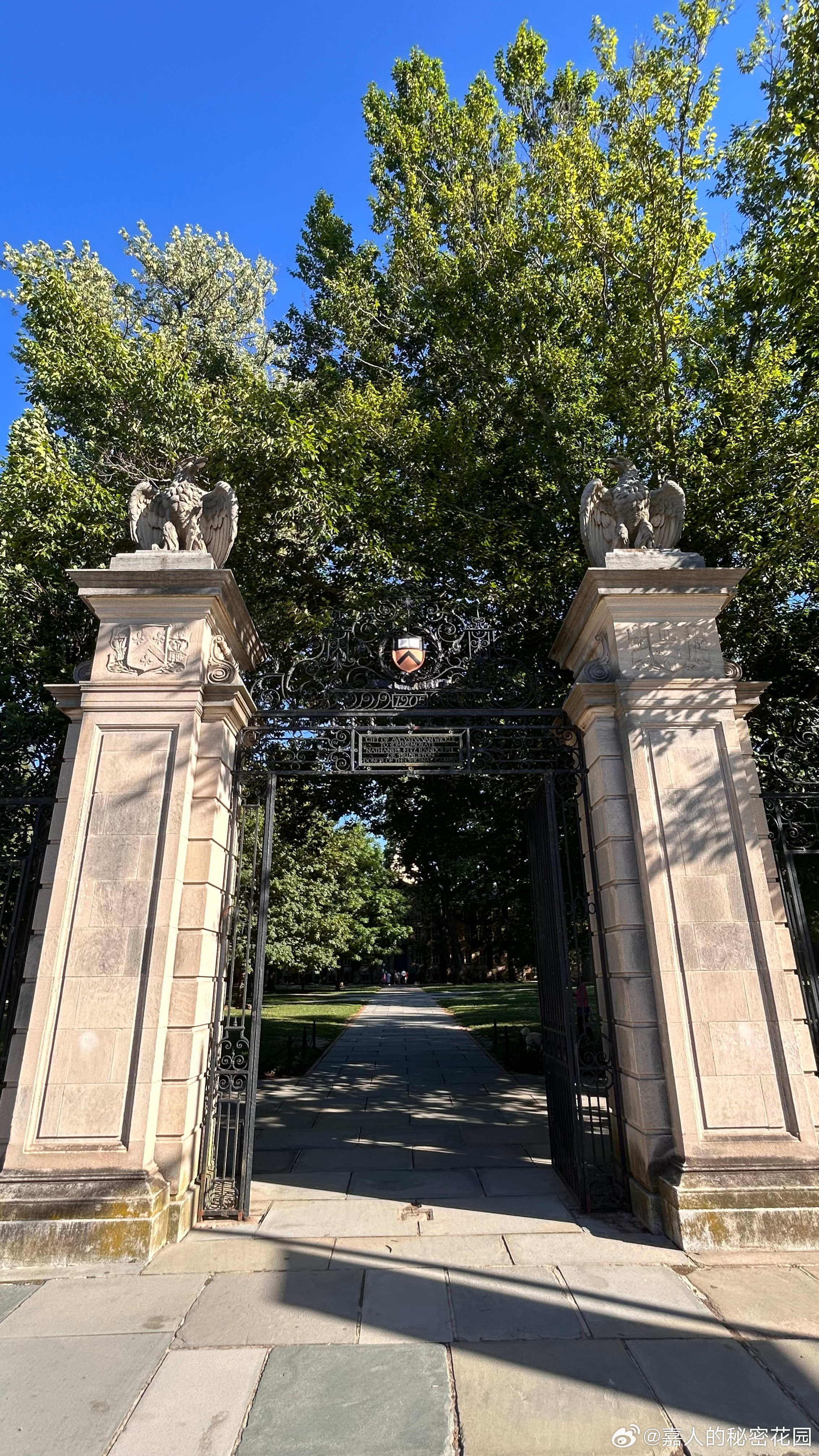在路上2026 Princeton University.校园很美，乐乐立刻把普