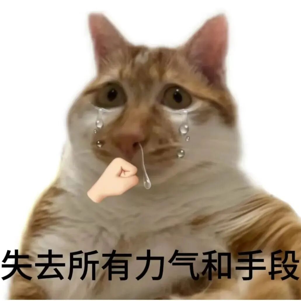 生理期结束的第一天谁能理解夏天38度➕痛经的感觉
