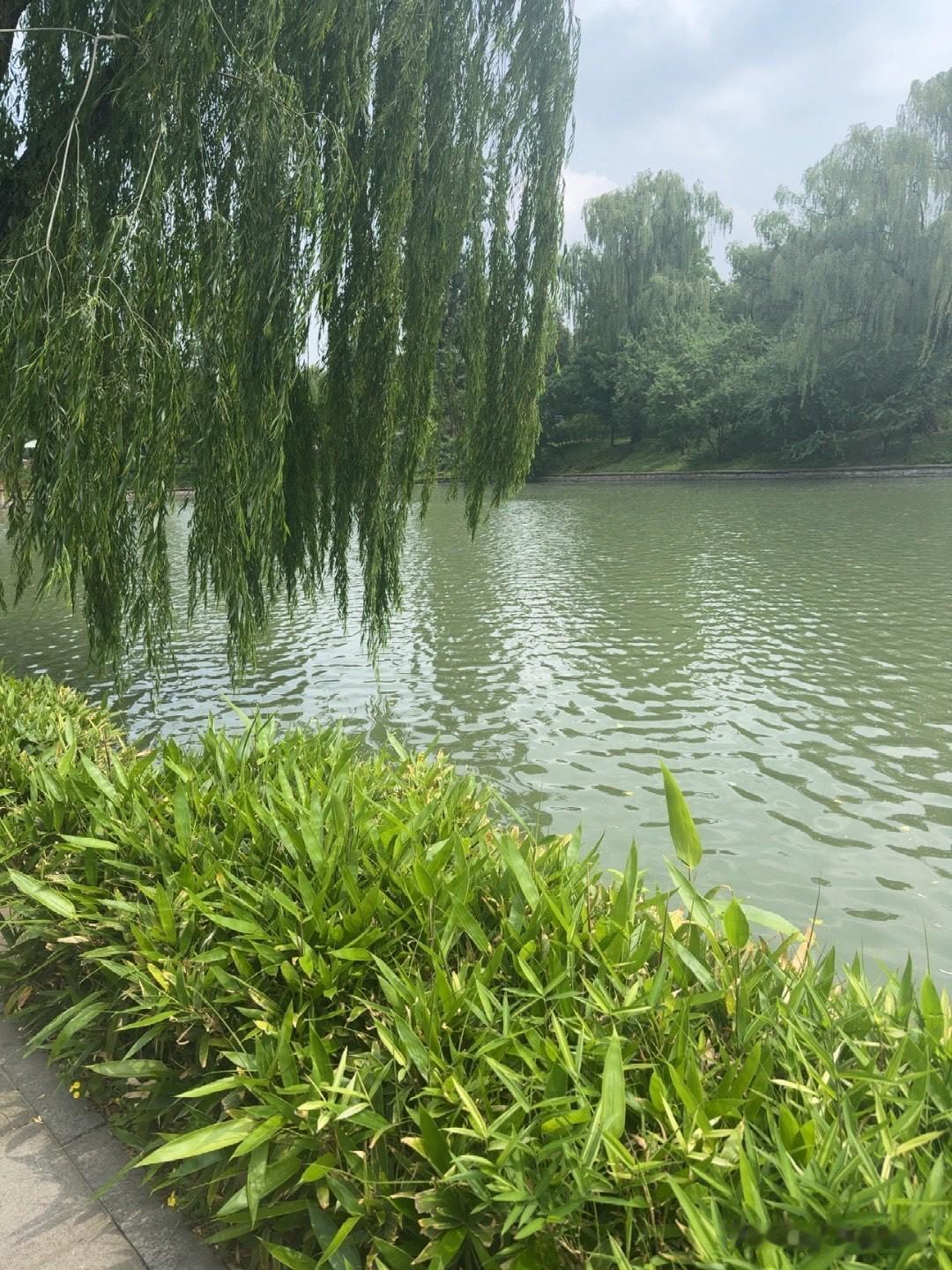 上初中的小孩子说：姥姥下周开始要期末考试了。
距离放假还有一个多月，就开始期末考