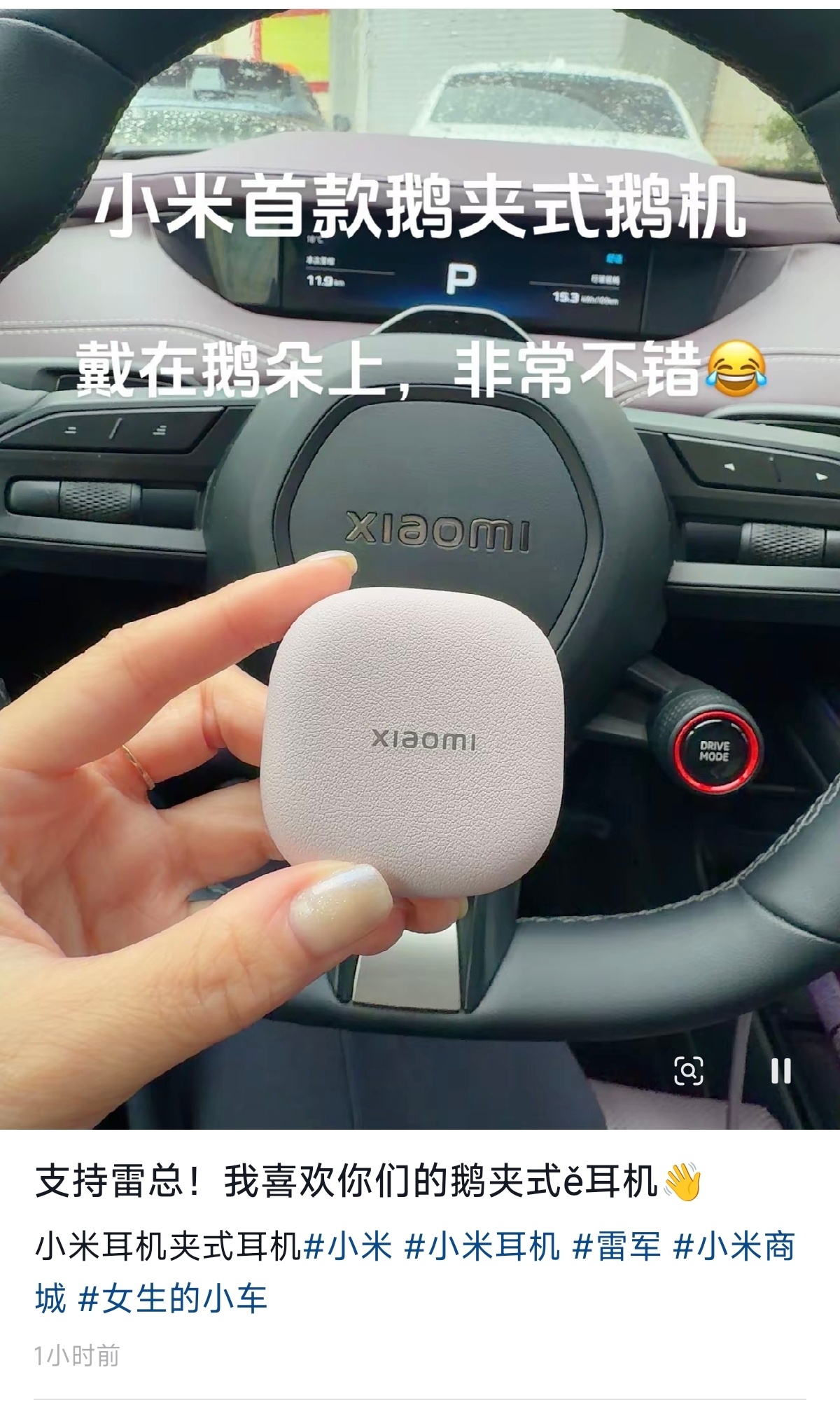 支持雷总！我们喜欢你的鹅夹式e机 