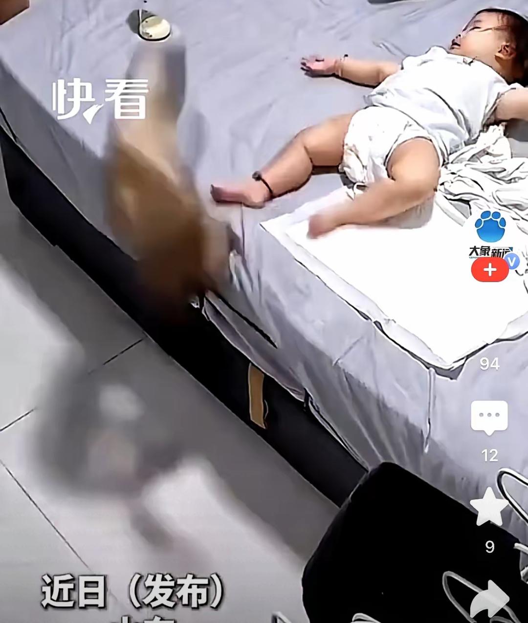 养猫的人才懂那种落差

平时跳上床

专挑你肚子胸口踩

半夜脸都能给你当跳板