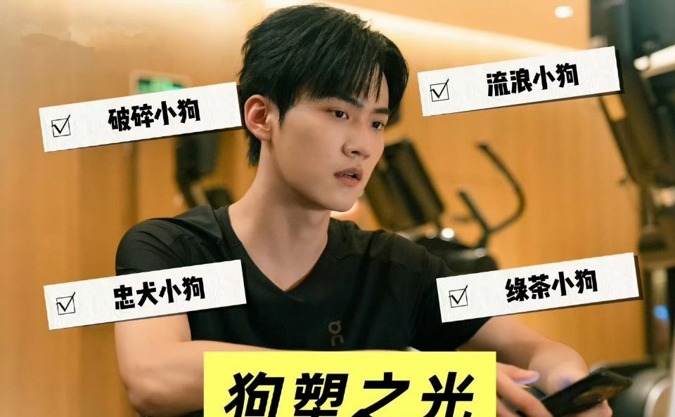 狙击蝴蝶 姐狗文学谁懂《狙击蝴蝶》的姐狗文学！周柯宇演的李雾从流浪小狗到忠诚绿茶