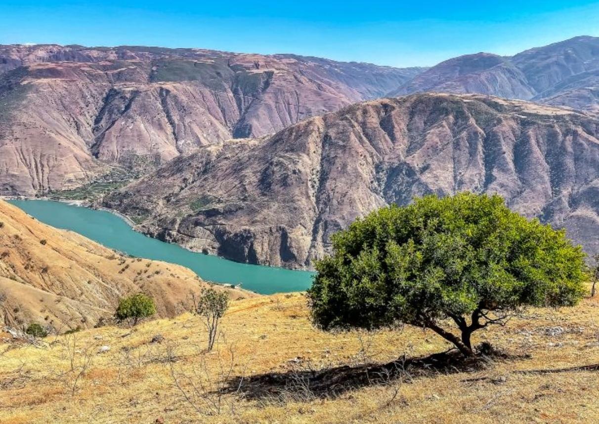 阳光斜洒，光影在峡谷间流转，江风裹挟激流轰鸣，诉尽天地磅礴。偶有山花缀于岩缝，炊