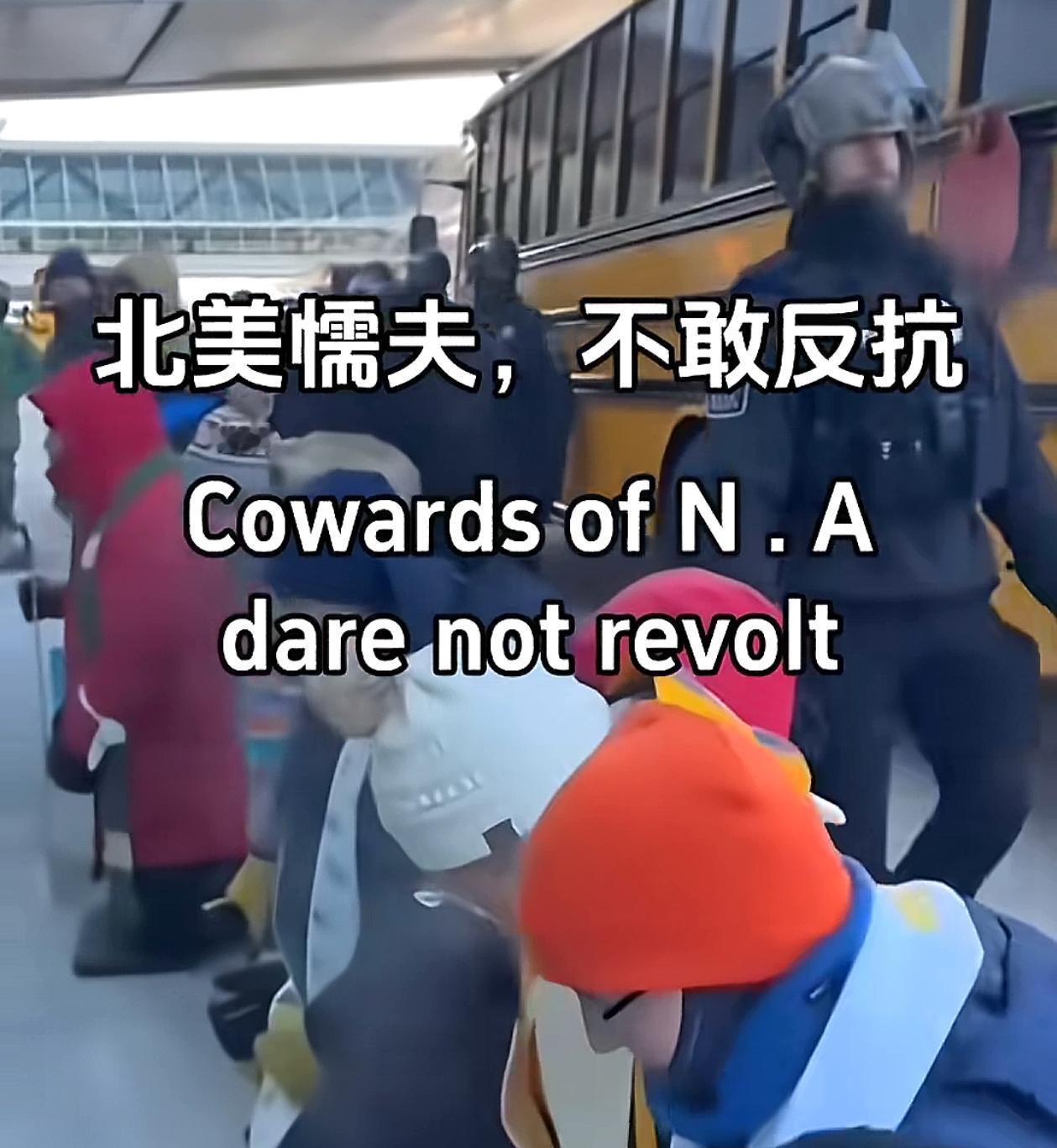 历史的回旋镖！
北美懦夫一词，
已经在外网火起来了！