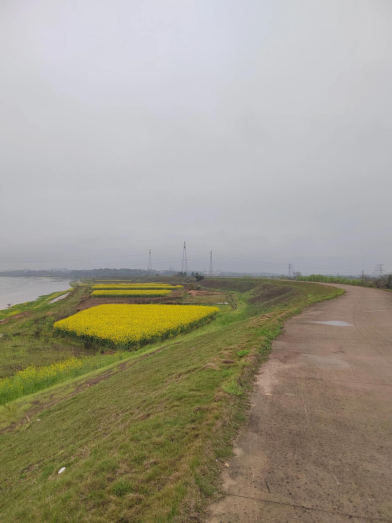 喜欢在江堤上跑步，空气清新阳气充足，只跑个一、二公里。