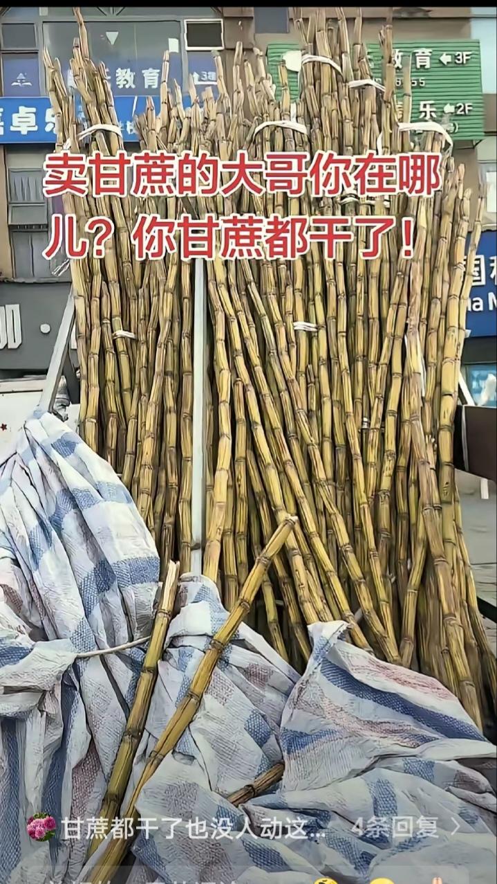 太暖心了，四川，一男子发现，楼下常年摆摊卖甘蔗的大哥从过年之后就没出摊了，路边三