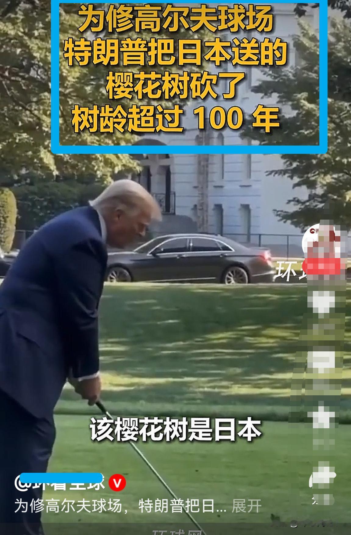 特朗普：我砍掉樱花树能咋滴？日本偷袭珍珠港，都没打招呼啊！