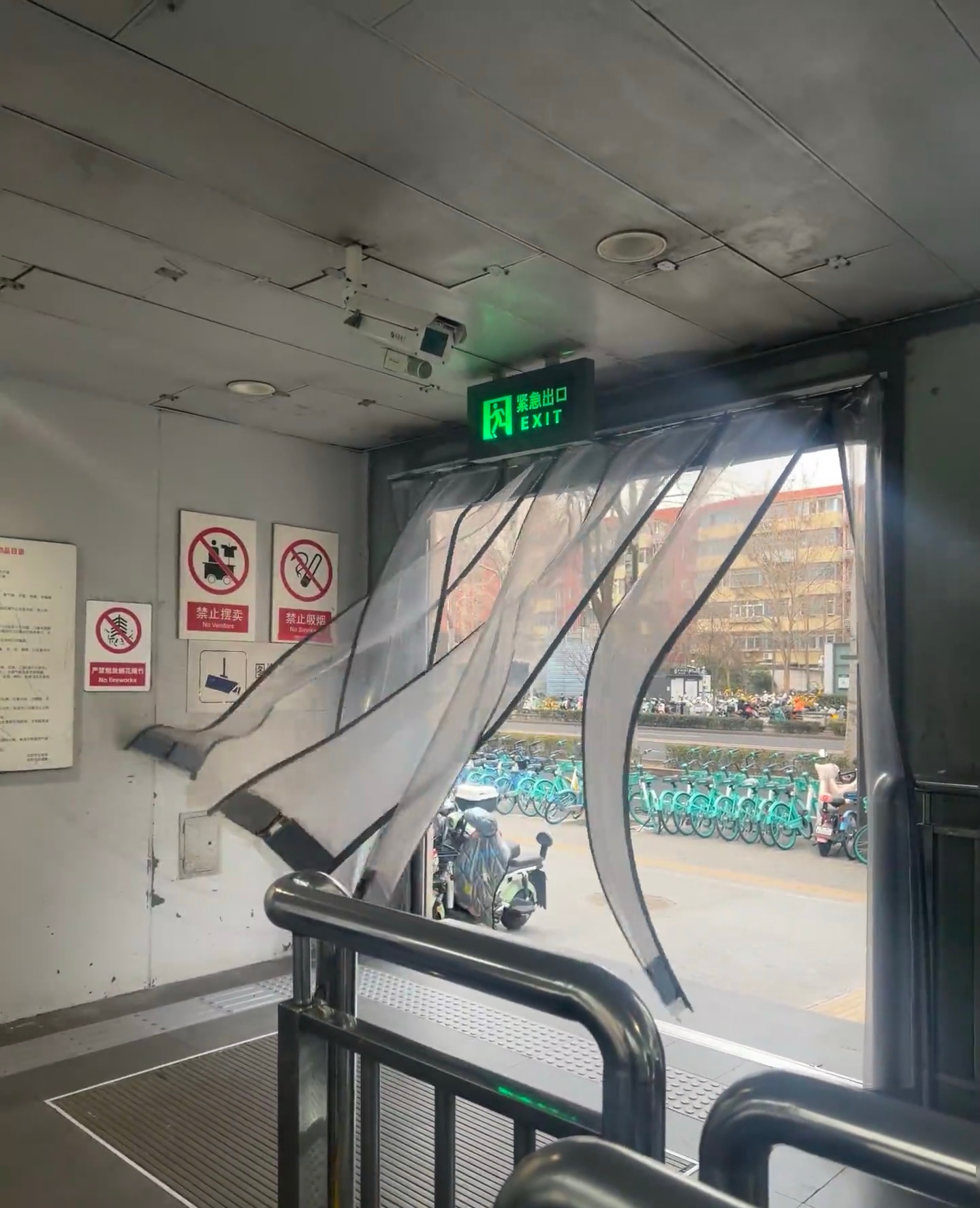 北京有自己的打人柳不愧是大北京和环球影城联动上了笑料生活撞满怀