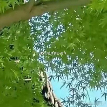 每日一善 就算全世界都否定你，你要相信你自己，不要去想别人的看法，旁人的话不过是