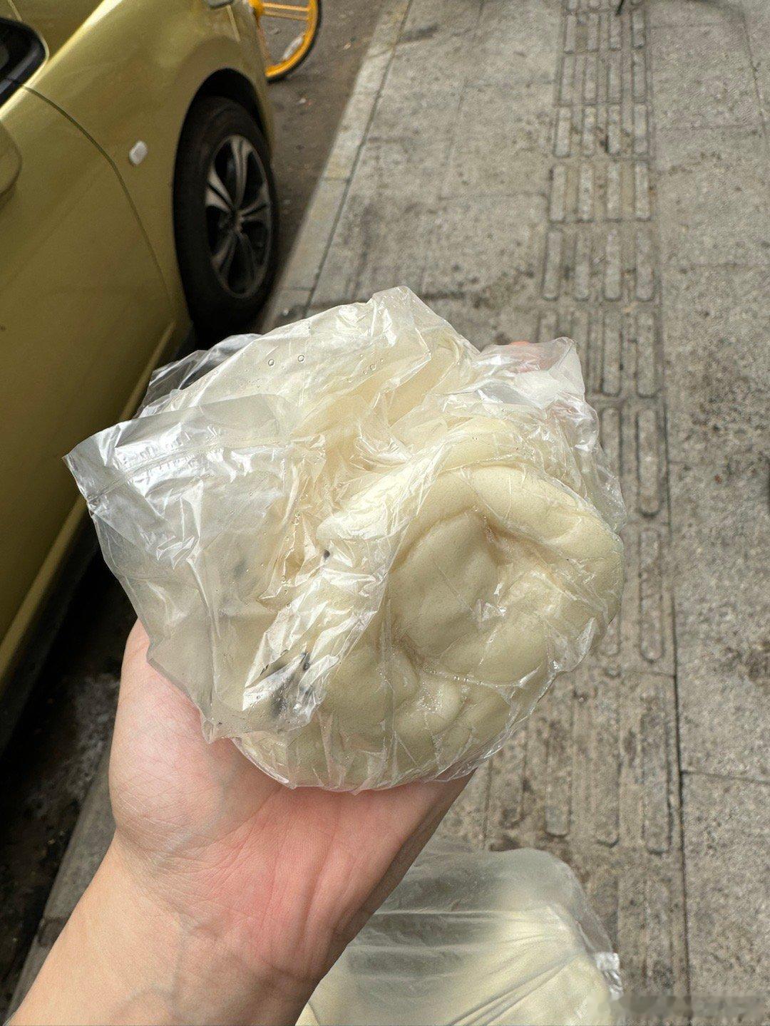 这就是东莞“特产大包”吗不过有1说1  其他地儿见不到这种馅儿的排骨肉多多又嫩 