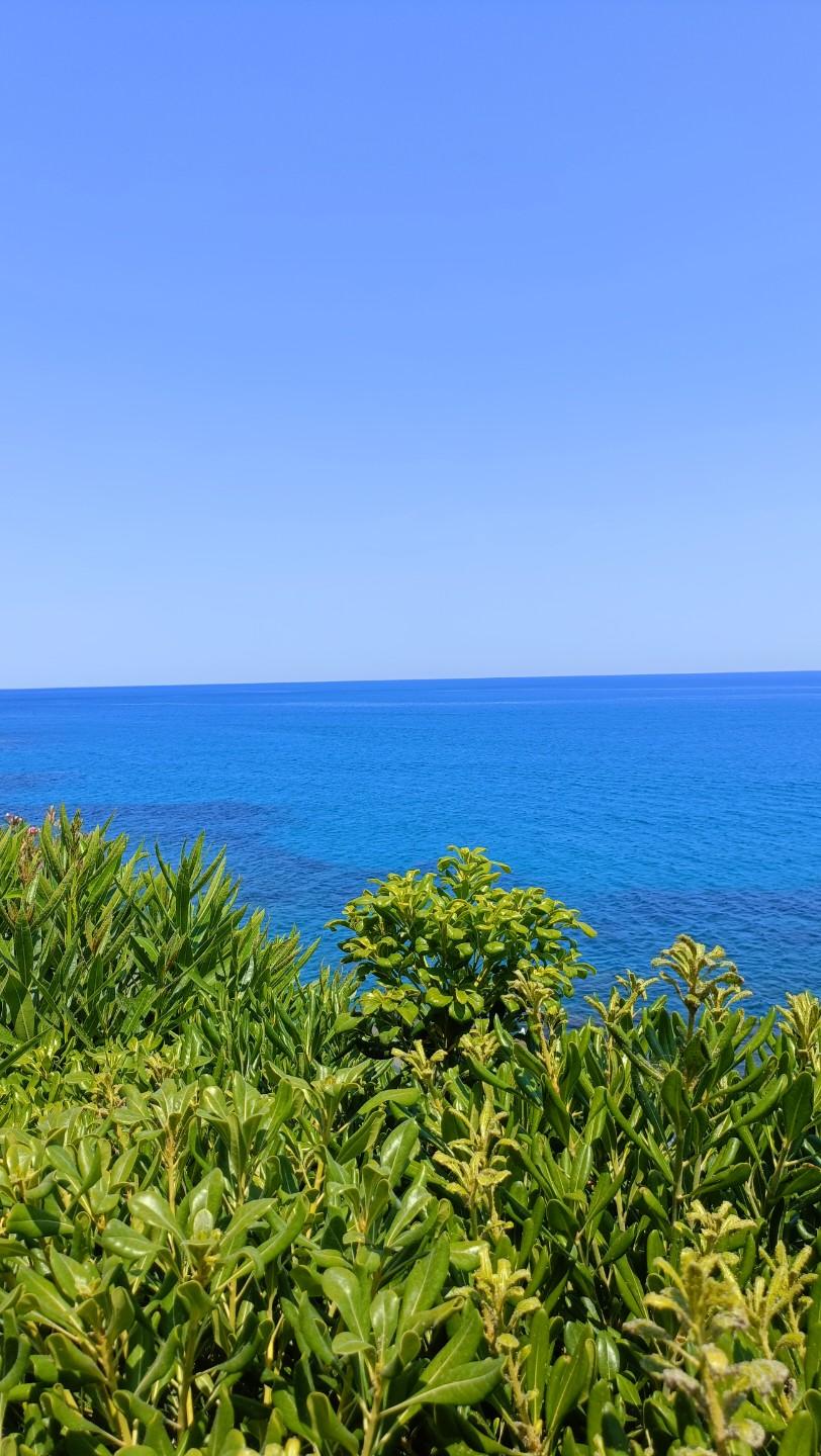 上周寻到胶东半岛一隅的小众海湾，车刚拐过最后一道沿海山路，澄澈透亮的蓝海猝不及防