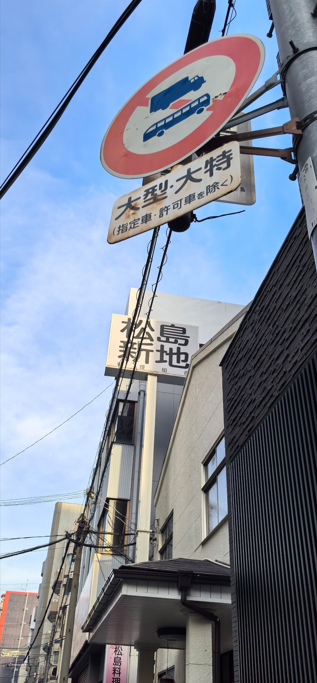 我大阪的向导是一个超超超超超级LSP，他带我来到一个叫做松岛新地的地方，看了看这