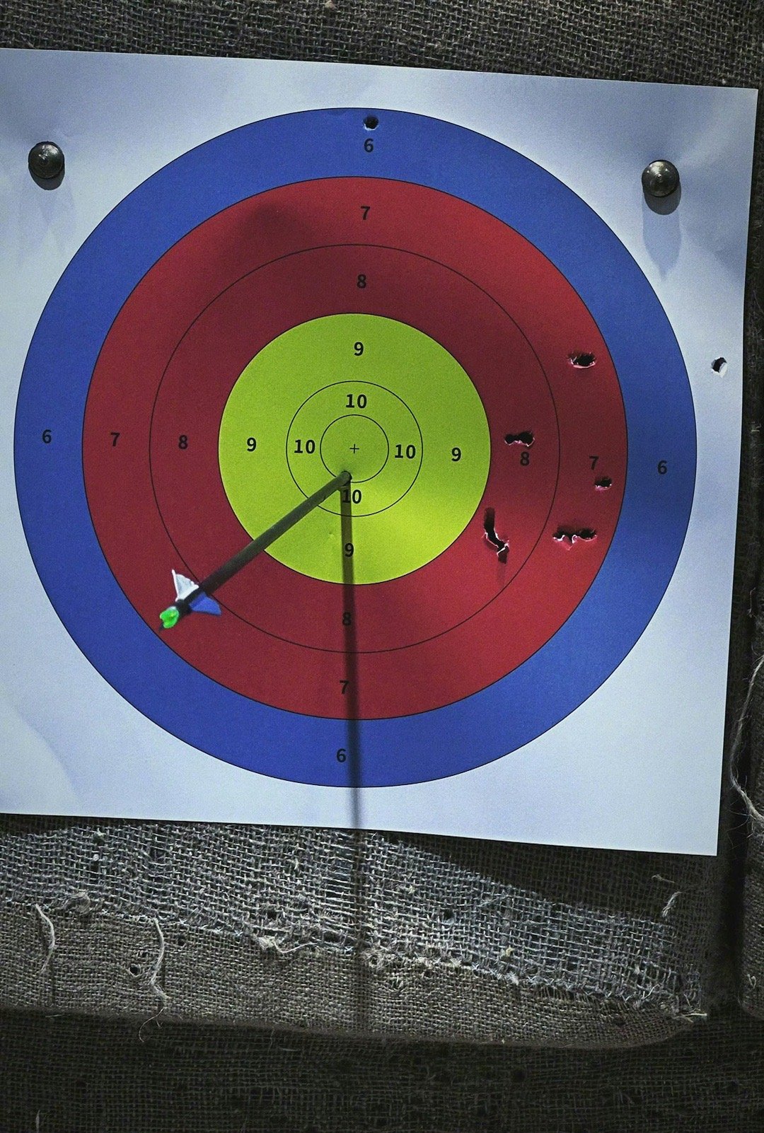 🏹该说不说还是有模有样的吧～日常射箭 ​​​