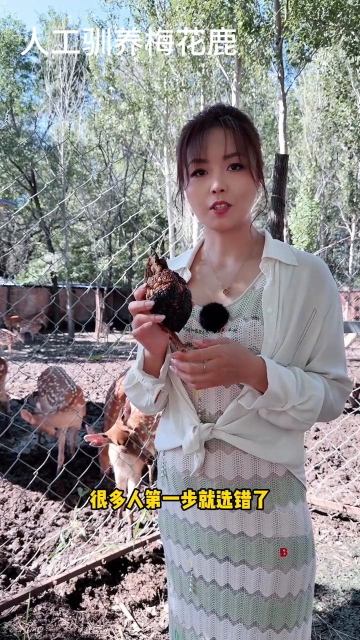 鹿心哪种最好？
很多人第一步就选错了，用一条视频来了解一下。市面上看到的鹿心有梅