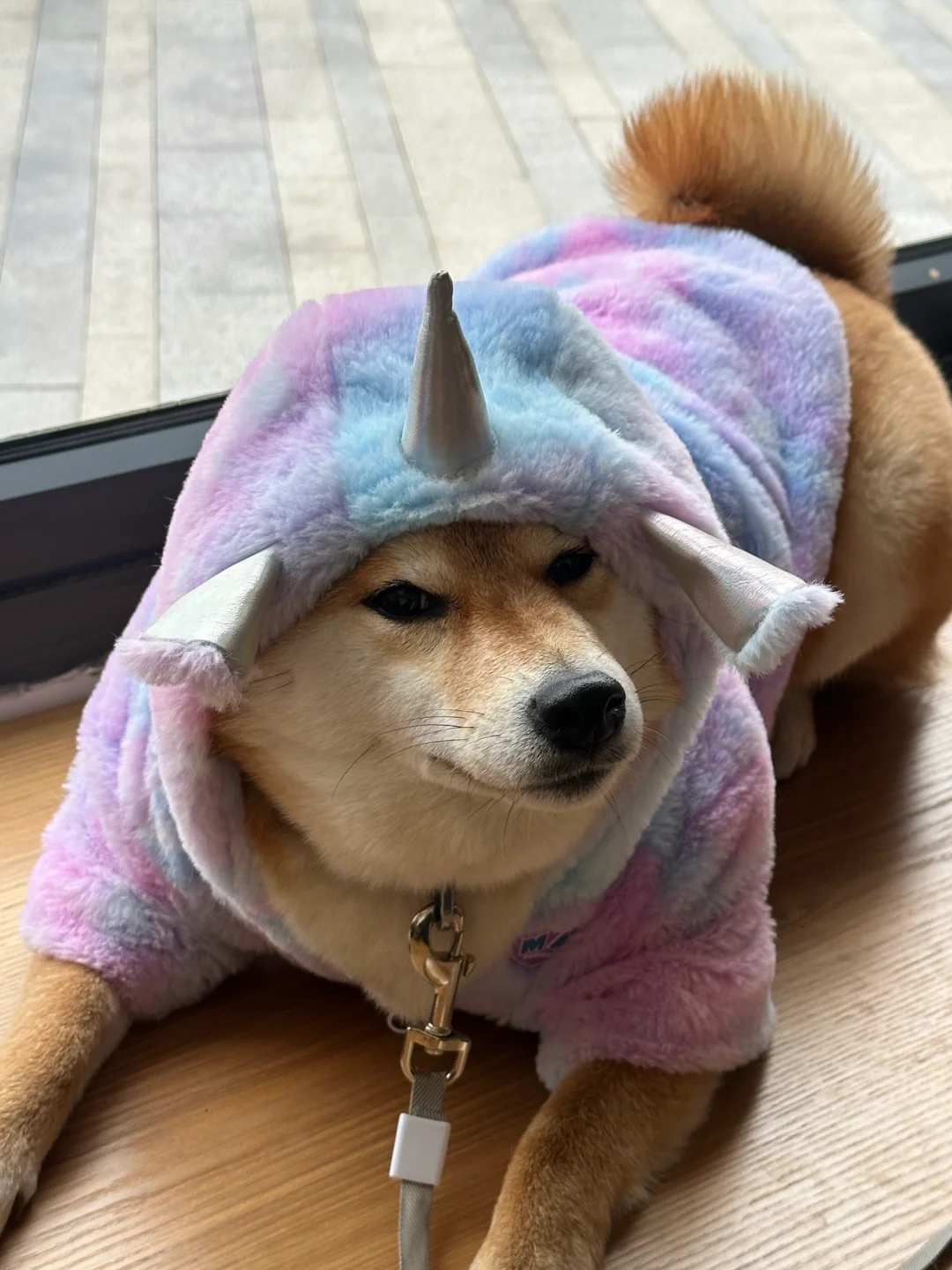 不是 你摆臭脸给谁看！！
