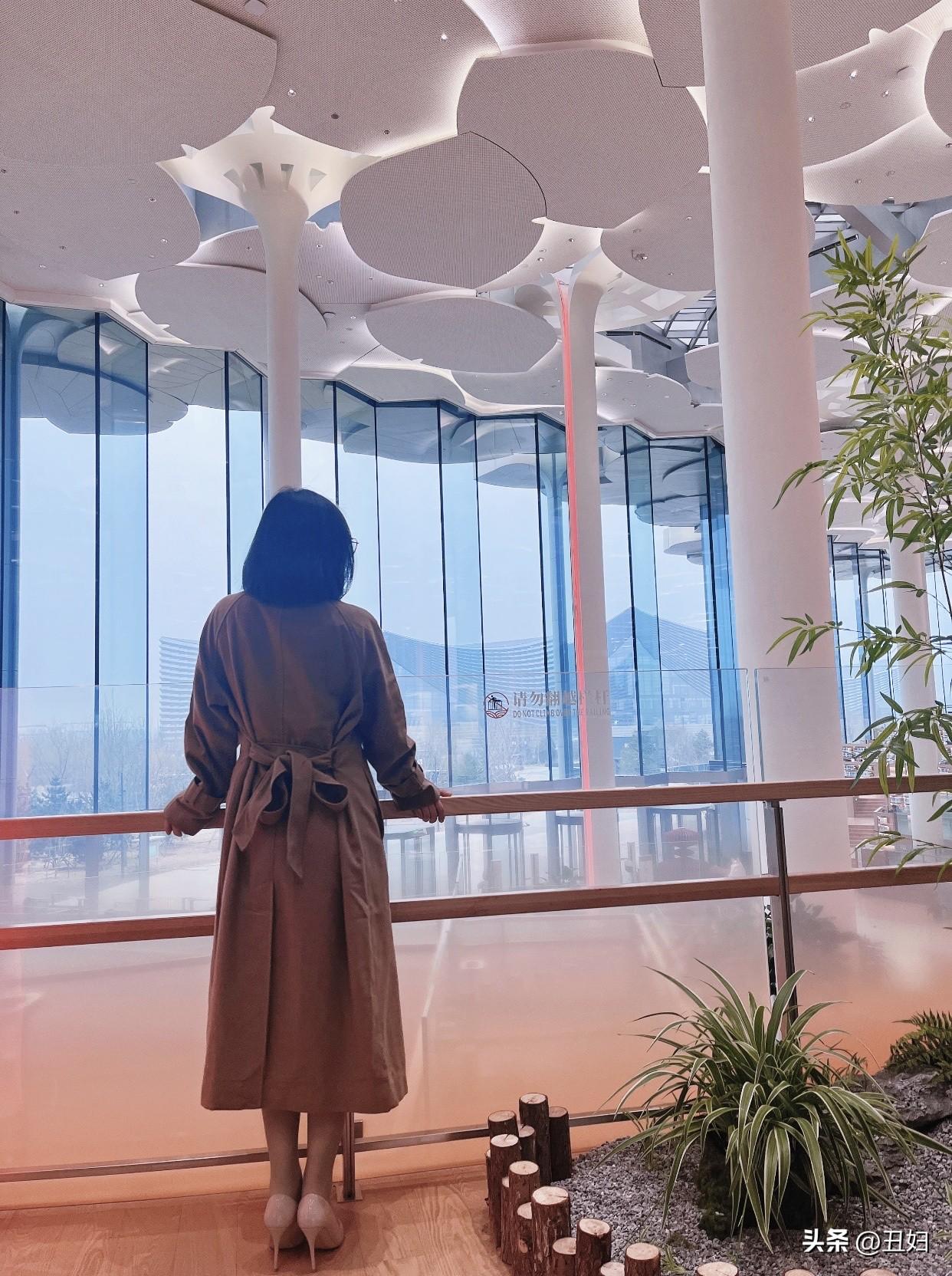 人生领悟分享前路浩浩荡荡，万事尽可期待