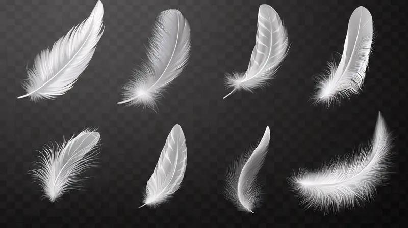 收藏 收藏这事儿，本是生活的调味剂，能让人怡情养性，可现实中不少人却把它搞变味了