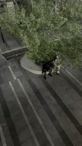 不知道下一个接盘侠是谁……