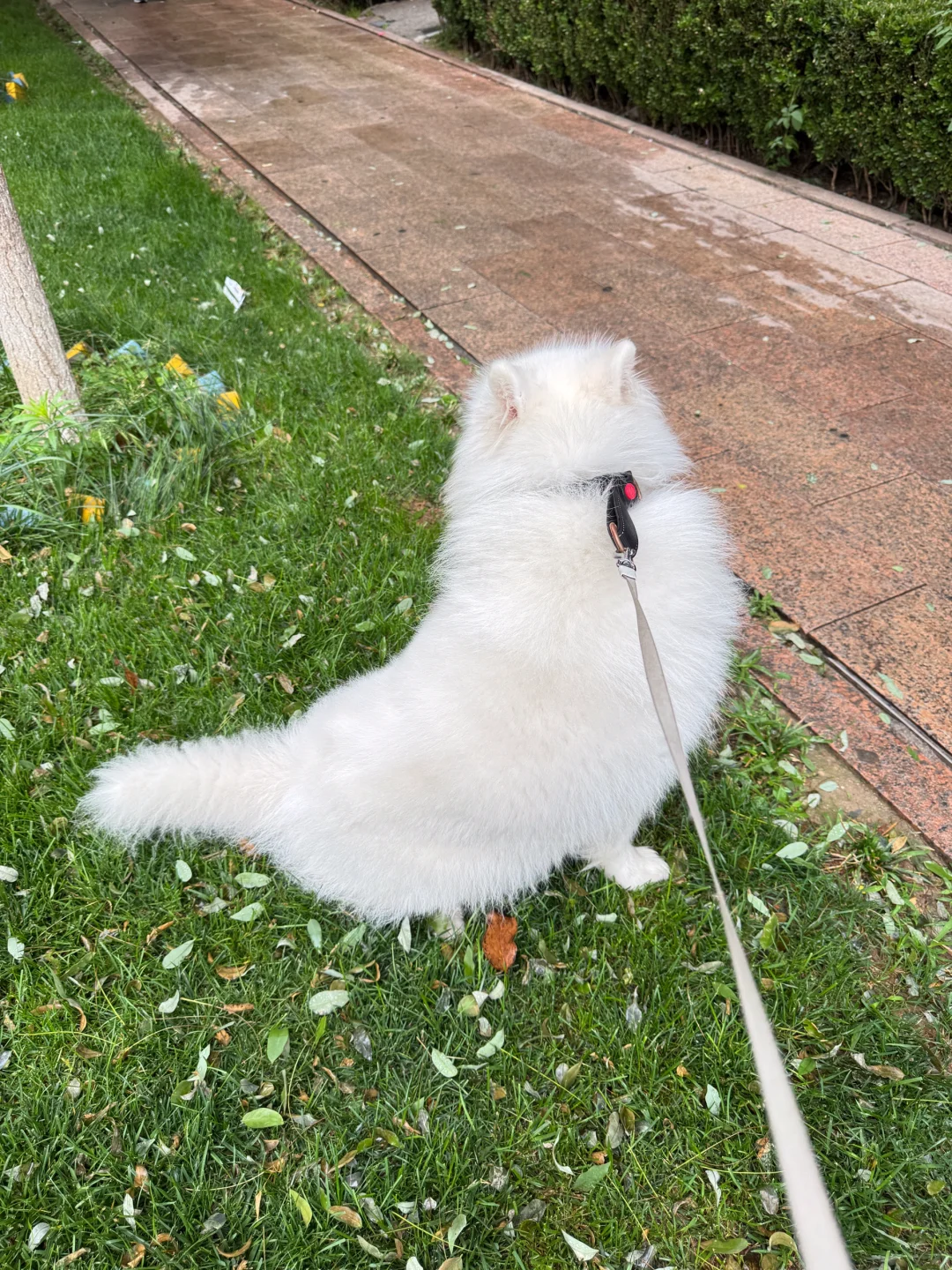 一屁股就坐这不走了