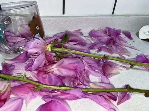 卵巢功能下降的预兆，这个最容易注意到，你有吗？ 近年来，卵巢早衰的年轻...