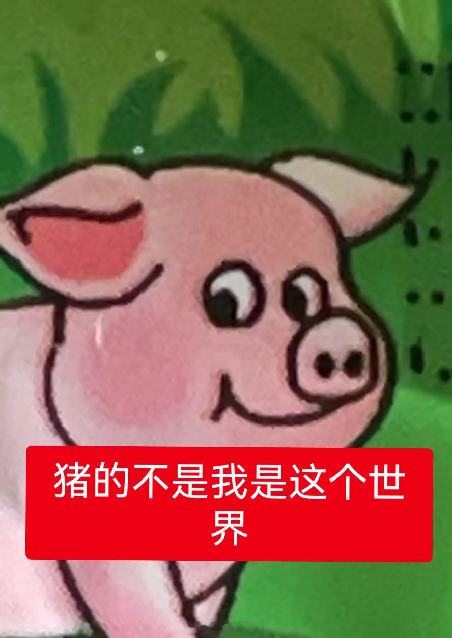 C踢踢A 进口猪，它很好你知道吗，它任性调皮，它美丽可爱，它开朗大方，它积极进取
