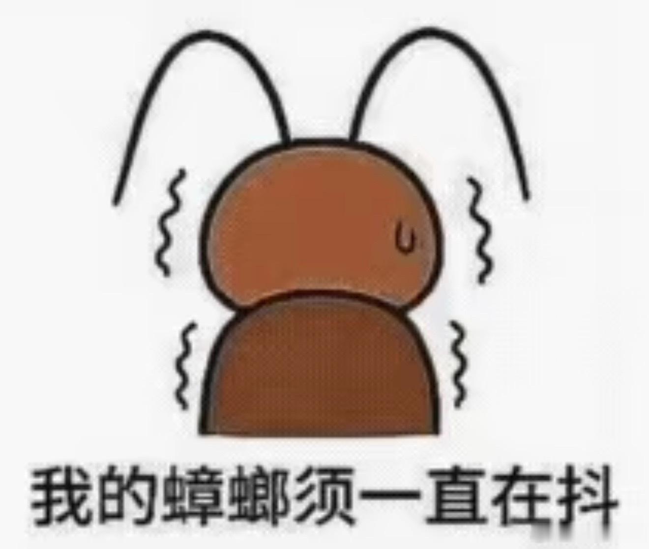 哦完蛋了完蛋了完蛋了！幸福的流泪，明媚的忧伤，不停切换