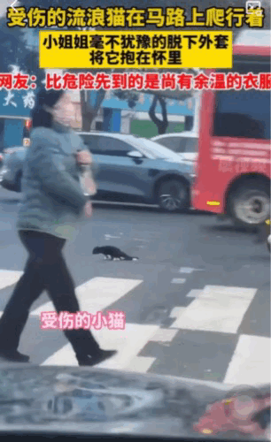 暖心了。对于这只小猫咪而言，女孩的出现犹如天使般降临了。
这只受伤严重的小猫，拖