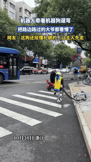 “彻底解释不清了！”浙江马路上，一机器人牵着一条机器狗在过斑马线，旁边路过一骑电