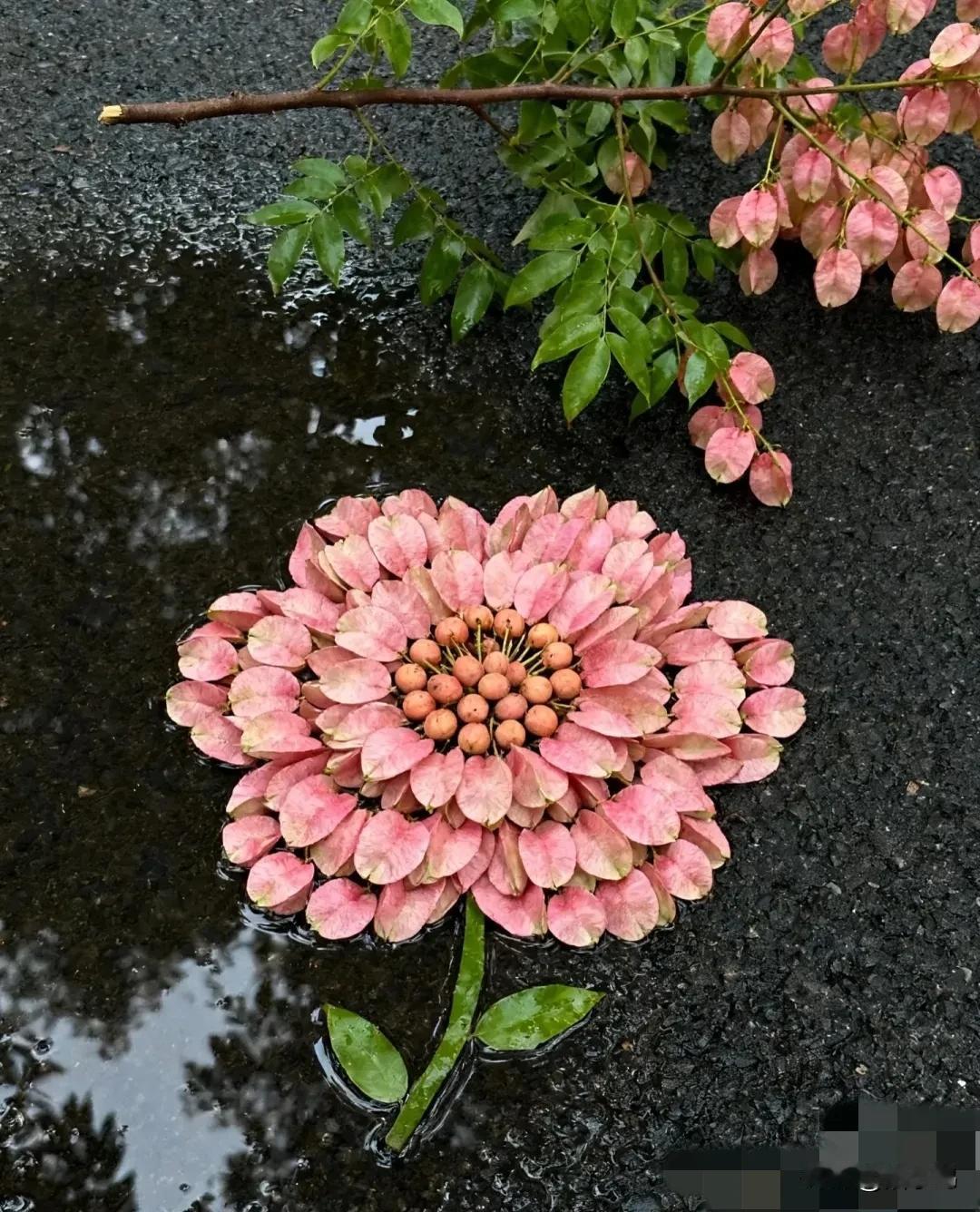 台风过后，可以带孩子去捡秋啦。可以手工做个花篮，也可以在地板上拼出各种图案。
反