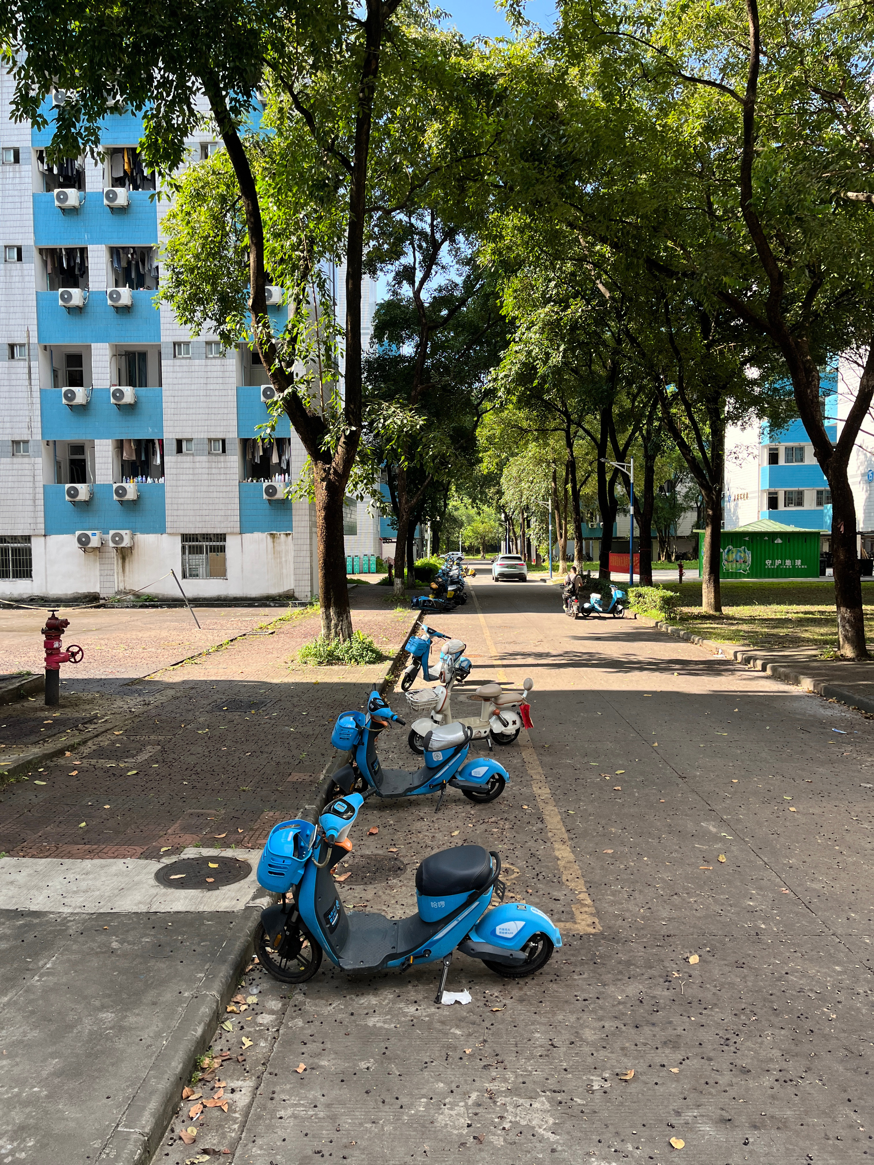 暑假回华农了 广州·华南农业大学
