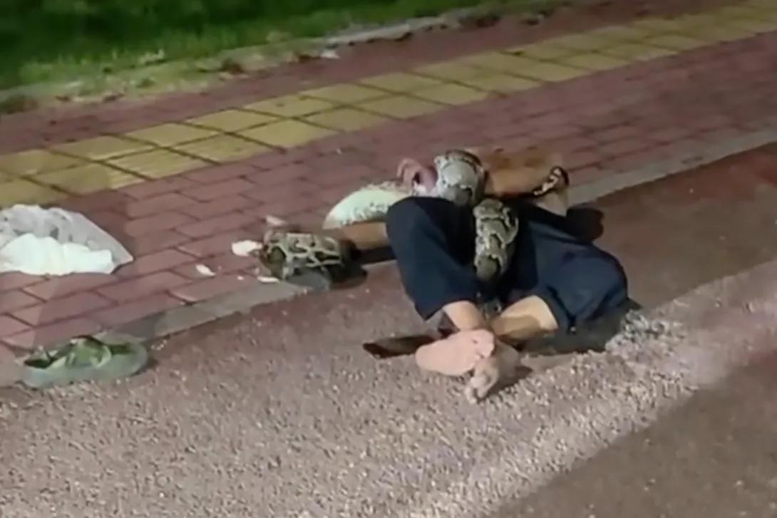 9月29日，惠州一男子醉酒被巨蟒缠身，路人：消防员抓蛇时候，他还想上去比划两下