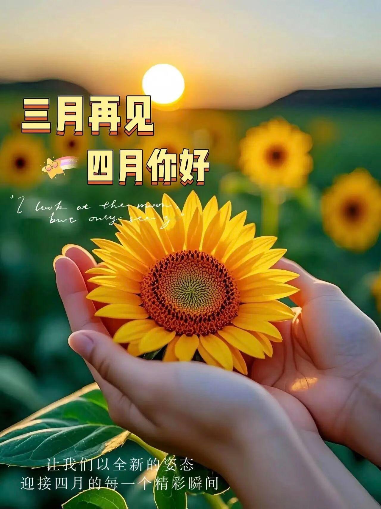 ²⁰²⁶/₀₃.₃₁☀️💐𓂂𓈒𓏸
挥别三月，拥抱四月，
和过去和解，心怀