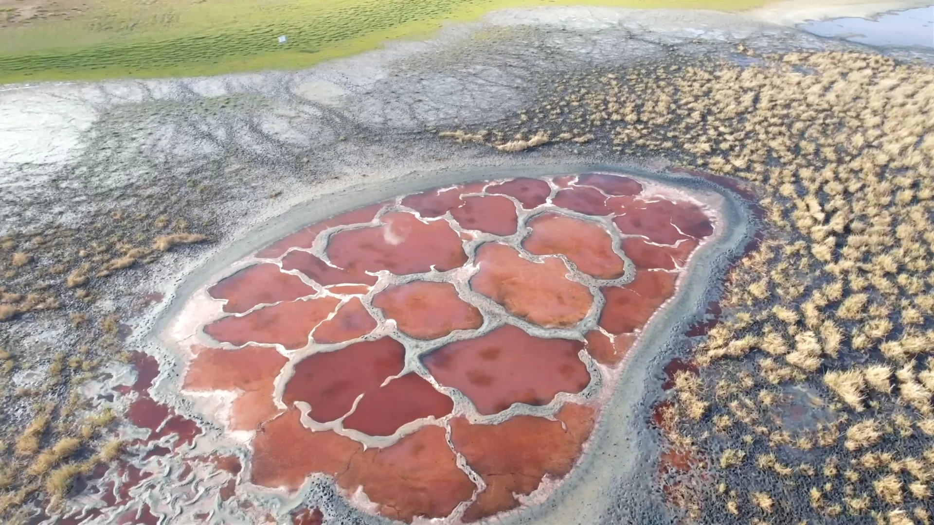 每天五点半起床冥想 彻底改变了我的生活