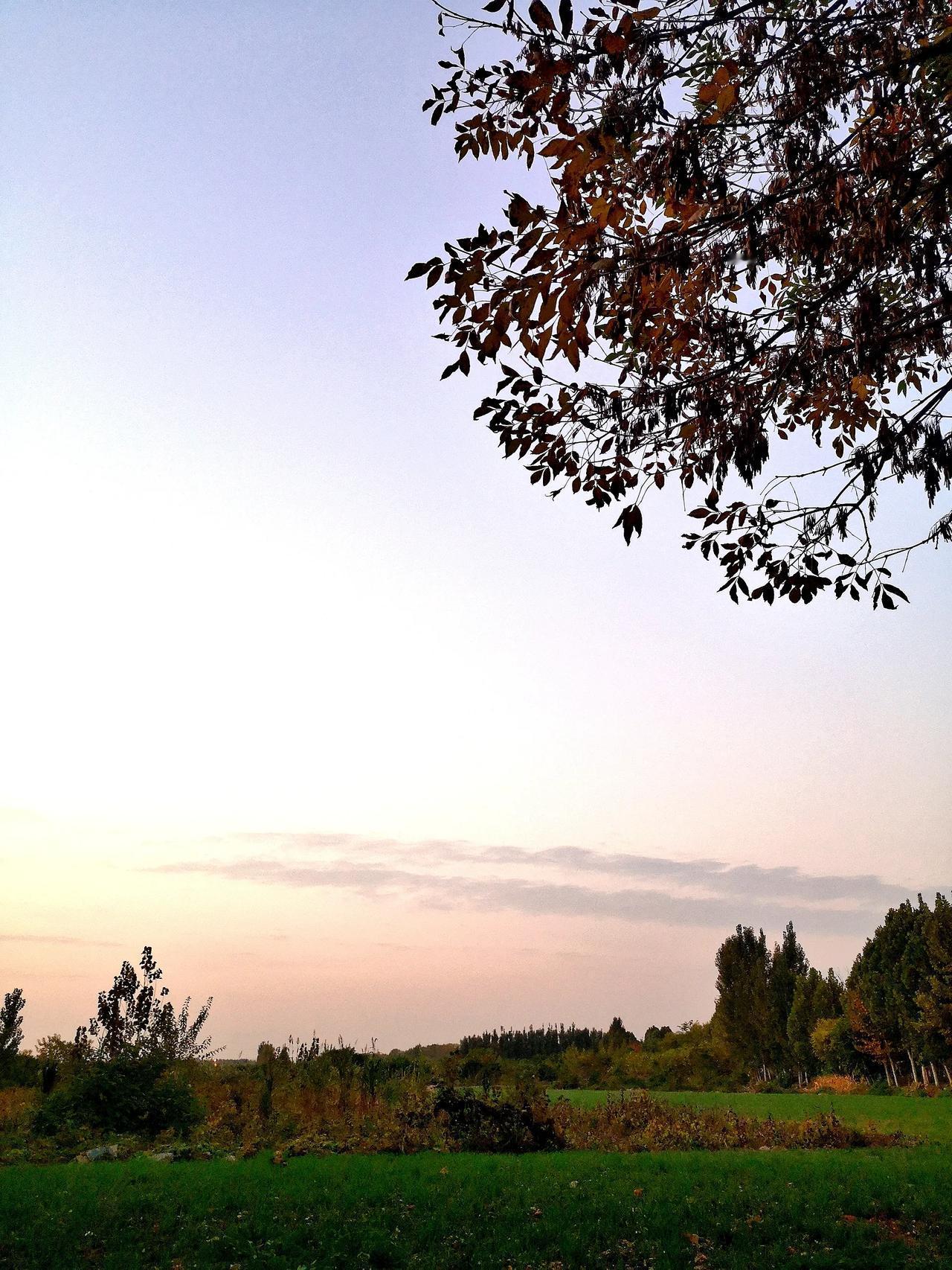#秋日生活记录#朝霞美景如画～[笑][彩虹]