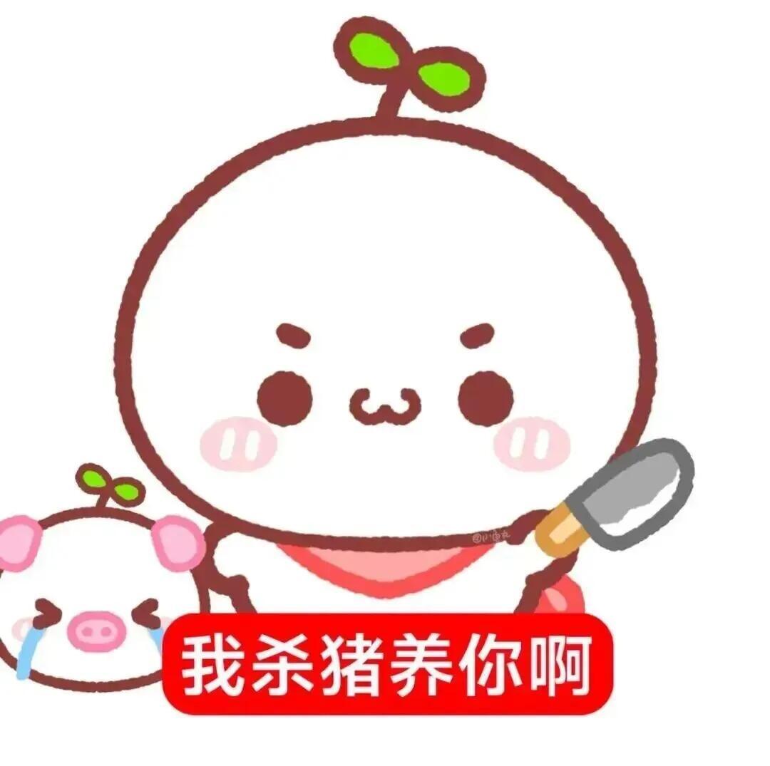 近期收藏的表情包 ‪.ᐟ‪.ᐟ 夏日企画