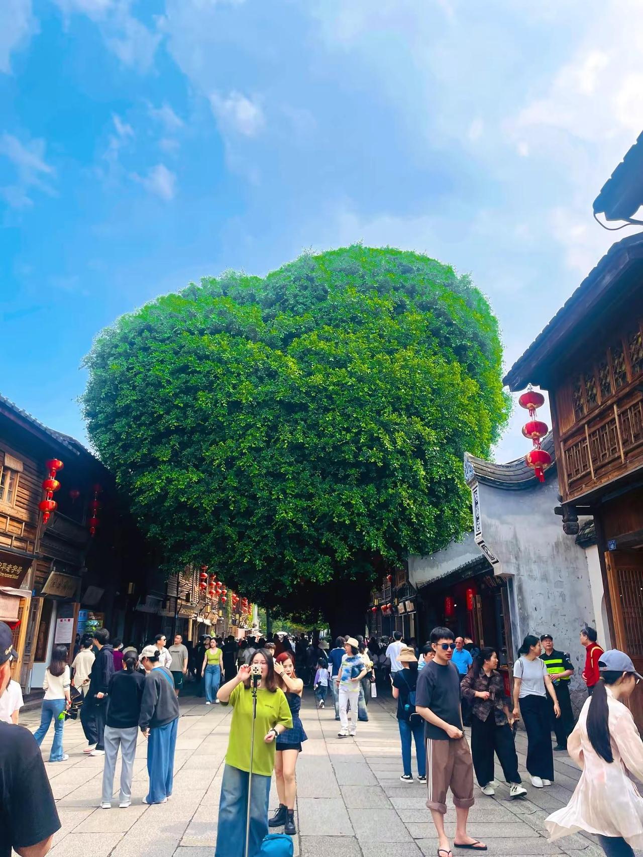 我在月光下许过情真，问你到底爱我有几分