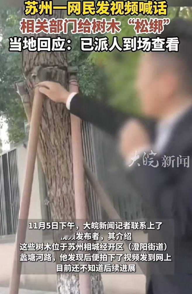 苏州，男子发视频喊话：“请相关部门过来看看，给树木松松绑，帮帮它们吧！”原来，苏