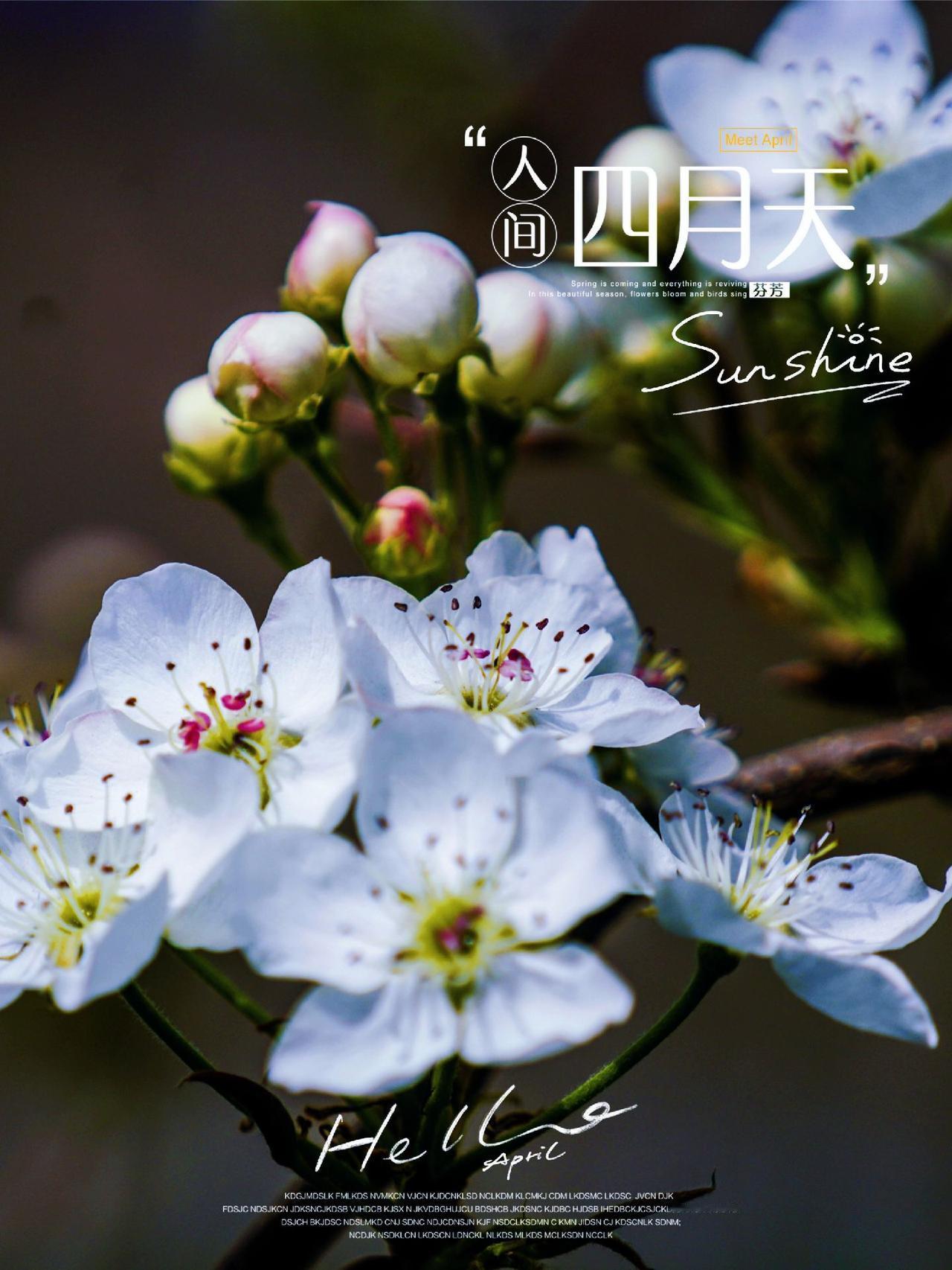 漫步晚春，你的世界花花草草占据，温柔的风略过，天空之城五彩缤纷！#总有一朵花属于