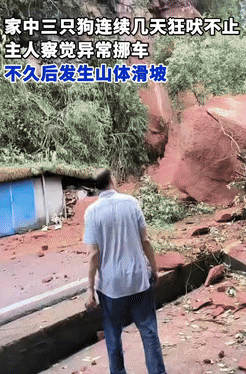 彻底解释不清了！四川乐山，一女子家里养的3条狗，连续几天一直狂吠，起初女子并不在