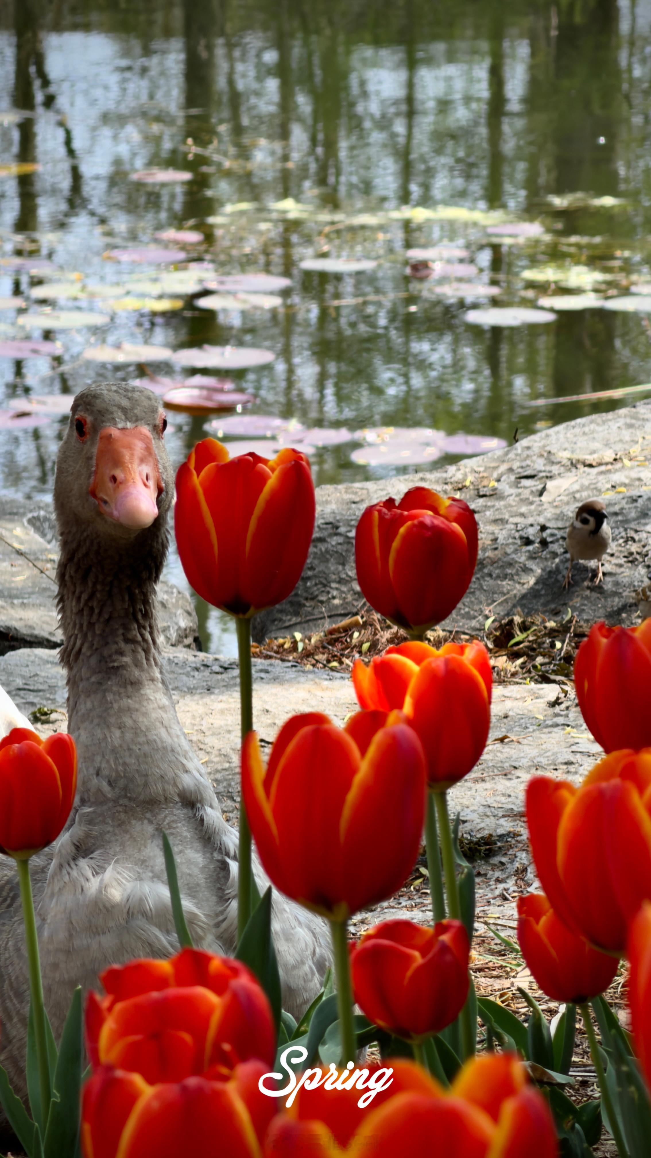 用piu亮花花们开启新的一周🤳猜猜我用哪款旗舰机拍的？