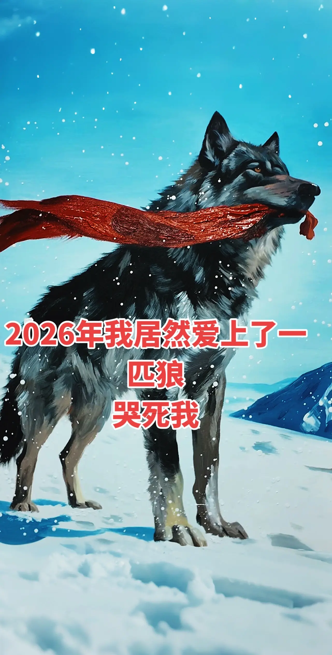 看完哭死我了。