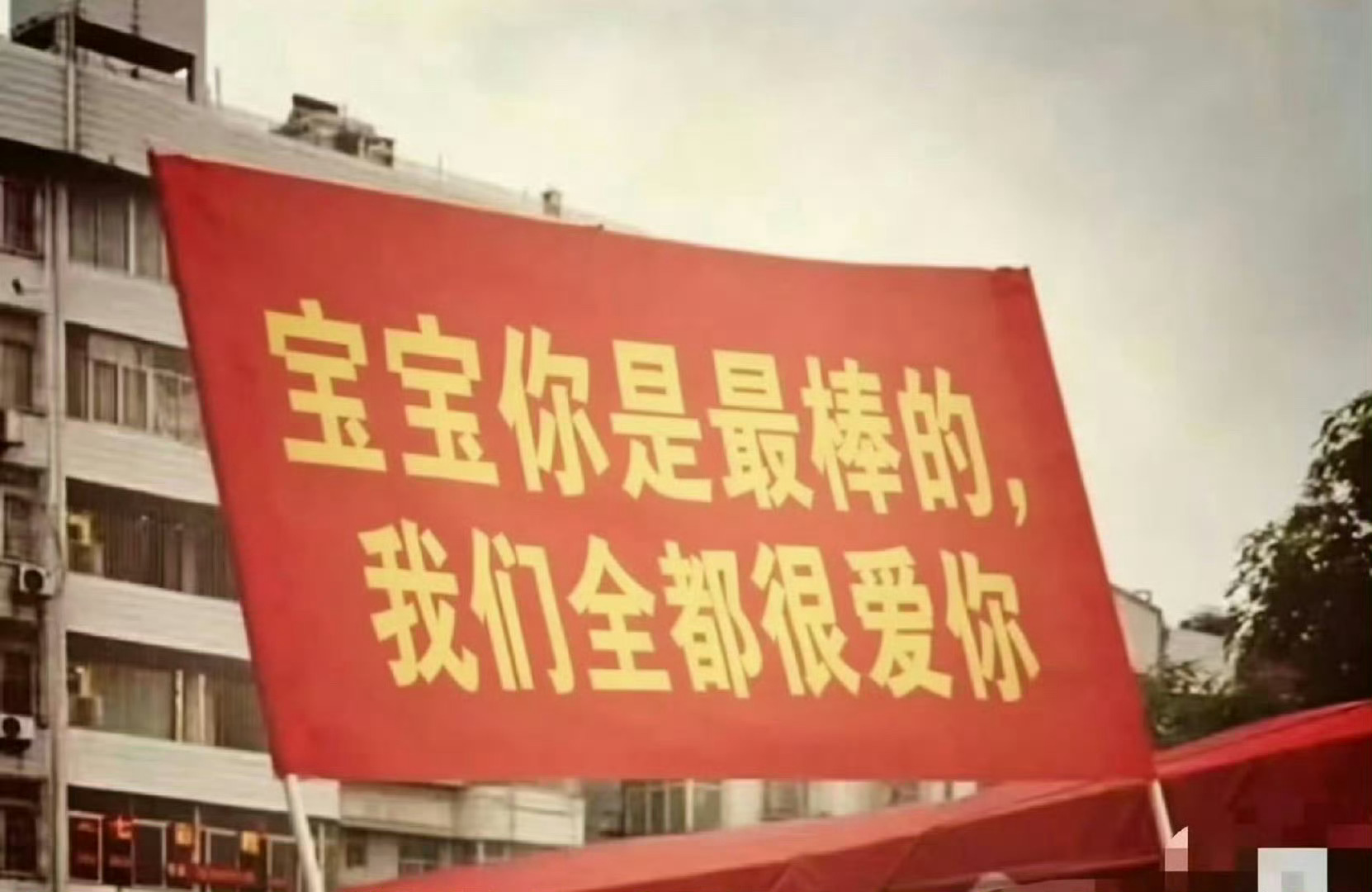 你是最棒的