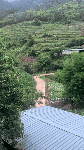 四川一妈妈带着两个孩子去送粽子，出门的时候一切正常，可回来的时候却听到远远地就有