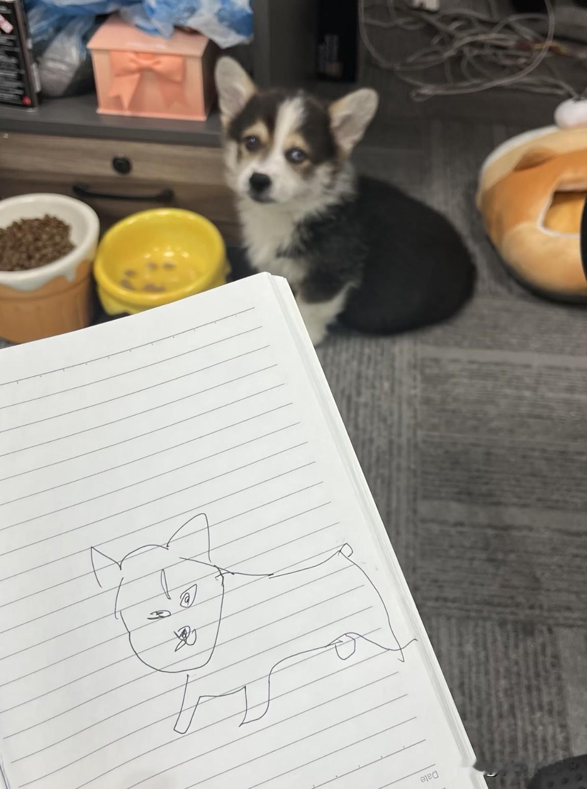 自学画画第7天，就想问问我有没有绘画天赋？