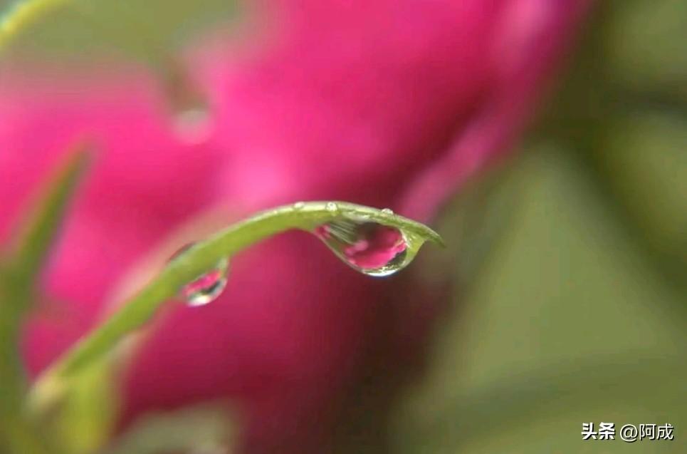 原来最磨人的从不是离别那一刻，而是分开之后，满心的话无人可说。明明思念到极致，再