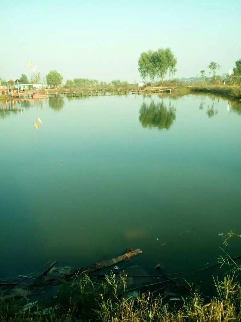 冬日的郑州黄河，没有了夏日的波涛汹涌，河水水量变小了，没有那么混浊了，部分河床露