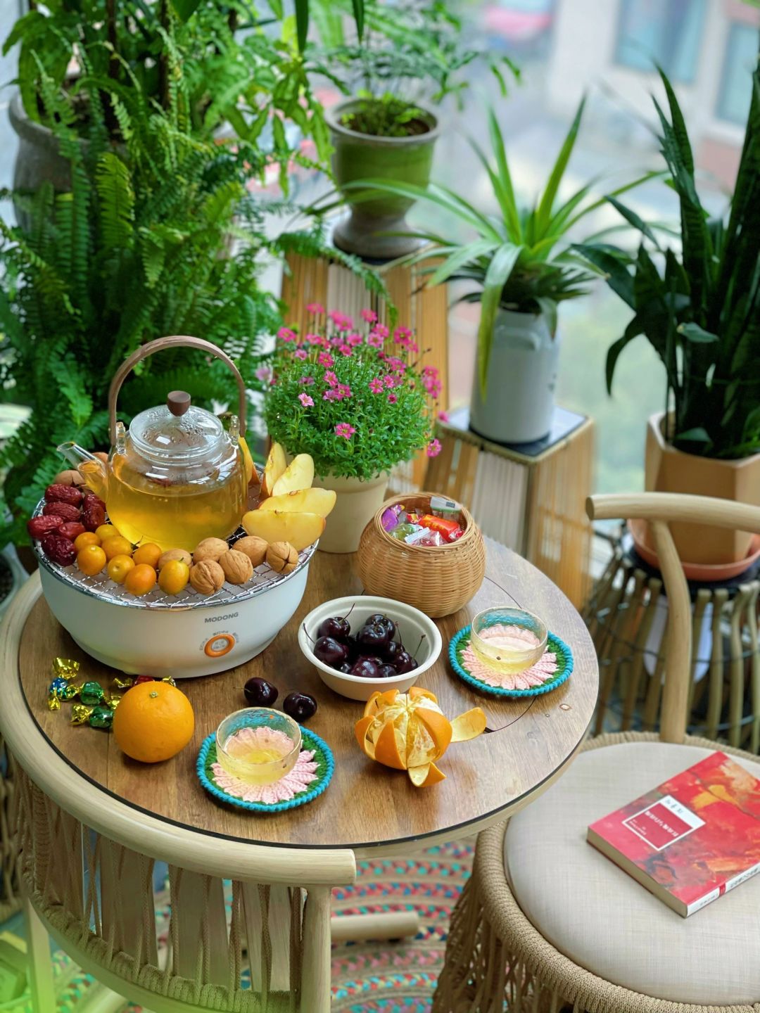 围炉煮茶｜闺蜜说，这样的阳台小森林想搬回家